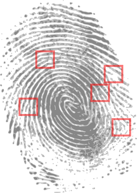 fingerprint-g59658bdba_640