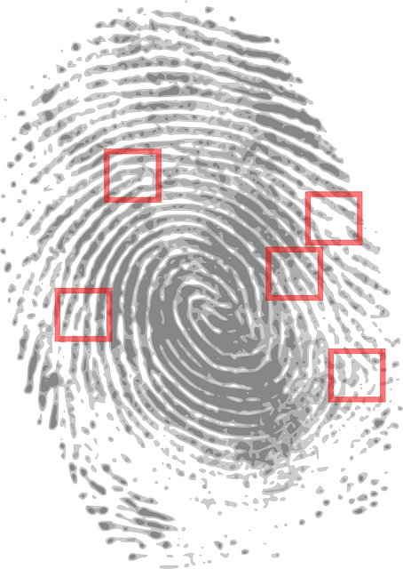 fingerprint-g59658bdba_640